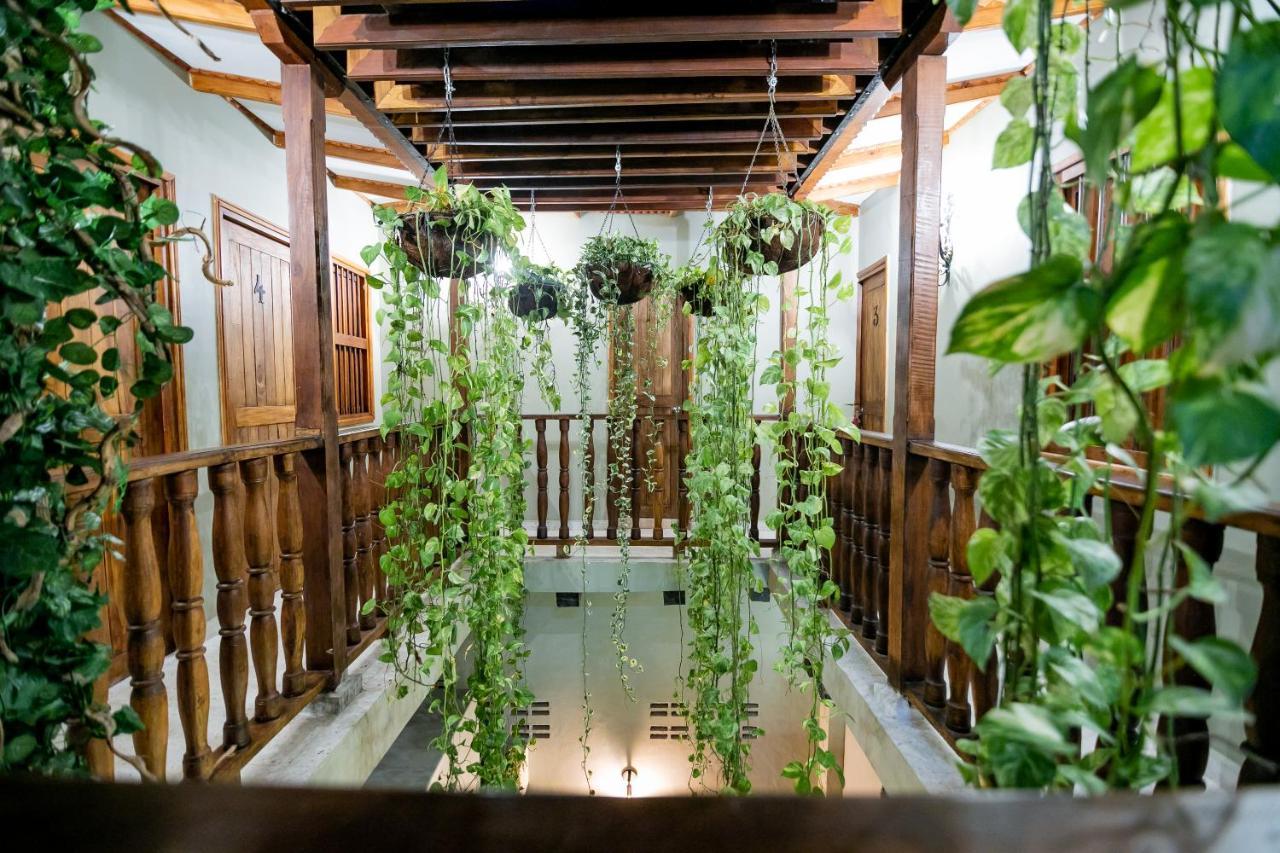 Scalea Di Mare Hotel — Fotos 3