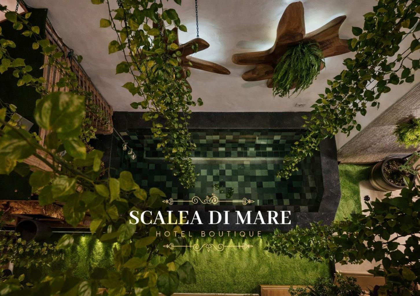 Scalea Di Mare Hotel — Fotos 1